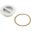25542-000-000 1.5In Npt Flat Plug