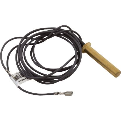 471740 Thermistor Probe