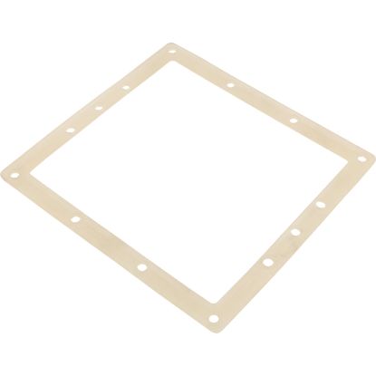 711-9100 Gasket - 50Sf F/A Skim Filter Body