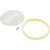 619864Z Tempered Lens & Gasket Assembly Pentair Intellibrite Led