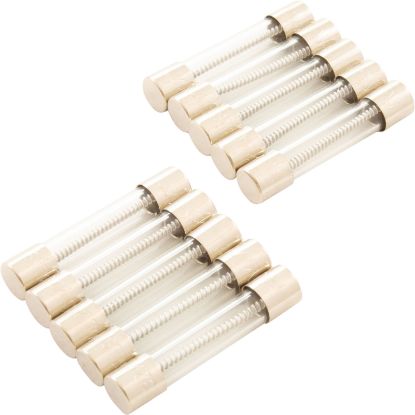 GLX-F20-10PK Kit-Fuse 20A 10 Pack GlassSlow BloAq Rite/1104