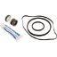 SPXHKIT1 Quick Fix Kit Max-Flo Pump
