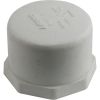 175525 Drain Cap Pentair PacFab Mitra 1