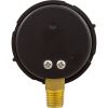 190058Z Pressure GaugePentair1/4