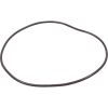 39010200 O-Ring Pentair Quad Tank Body