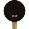 99301499 Vacuum Gauge 1/4