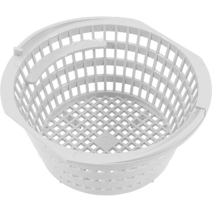 R172467 Basket Skimmer OEM Rainbo with Pentair DSF35 DSF50