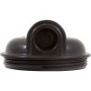 R172213C Tank Lid Pentair Rainbow RDC In-Line 1-1/2"fpt w/Valve