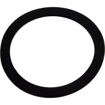 51006100 Gasket Pentair Sight Glass 2