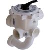 261152 Multiport Valve Pacfab/Pentair DE Filter 2