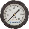 4615 Influent Pressure Gauge Paragon Stark 0-60psi