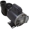 02093000-2010HZN Pump Circ Gecko AquaFlo CMHP1/15hp US Motor115v 1-1/2"