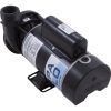 3420610-0Z PumpWW Spa Flo1.5hp115v2-Spd48fr1.5