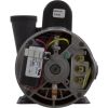 3421821-13 Pump WW Exec 4.5hp 230v 2-Spd 48fr 2-1/2