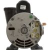3420410-1A Pump WW Exec 1.0SPL 115v 2-Spd 48fr 2