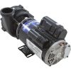 3421821-1U Pump WW Ex2 4.0SPL 230v 2-Spd 48fr 2