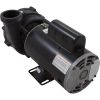 3421020-1UHZ Pump WW Ex2 2.5SPL Century 230v 2-Spd 48fr 2