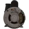 3721621-1V Pump WW Viper 4.0hp 230v 2-Spd 56fr2-1/2