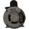 3720821-1DHZN Pump WW Exec 2.0hp US Motor 230v 2-Spd 56fr 2
