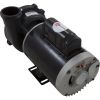 3720821-1DHZN Pump WW Exec 2.0hp US Motor 230v 2-Spd 56fr 2