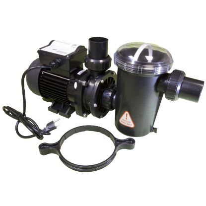 10081-ACC Pump AquaPro AL75 0.75 Horsepower 115v