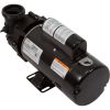 4239110-S PumpBWG Dura-Jet1.0hp115v2-Spd2