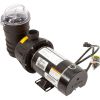 340219 Pump Pentair Dynamo 2.0hp 115v 1-Spd 3ft Std Cord