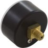 06671-0401 Pressure Gauge Astral 1/8