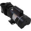 06130395-2040CMPW Pump CMP 3.0SPL Century 230v 2-Spd 48fr 2
