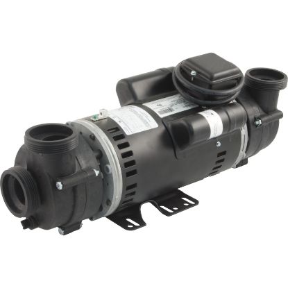 1014169 Pump BWG Vico Ultima Dually3.0hp230v2