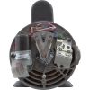  Pump BWG Vico Ultimax 2.0hp230v2-Spd56fr2