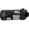  Pump Ultima 0.75hp Century 115v1-Spd48fr1-1/2