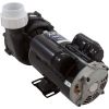 06120500-2040 Pump Aqua Flo XP2 2.0hp 230v 2-Spd 48fr 2