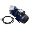 07030003-6040 Pump Aqua Flo XP2e 2.0hp 230v 1-Spd 50HZ ONLY OEM