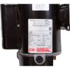  Pump Aqua Flo XP2 1.0hp Century115v2-Speed48 Frame 2