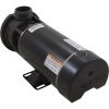  Pump Aqua Flo TMCP 2.0hp Century Conv 1-Spd 1-1/2