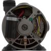 02015000-1010HZW Pump Aqua Flo FMHP 1.5hp Century Conv 1-Spd 1-1/2