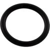 192115Z O-Ring Pentair IntelliFlo XF/EQ Series Drain Plug O-130