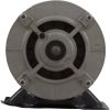 356550S Motor Pentair 0.75hp 115v 2-Spd 48 Frame w/ Switch