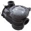 C176-71P Trap Assembly Pentair Dyna-Glas/Dyna-Max/Dyna-Wave