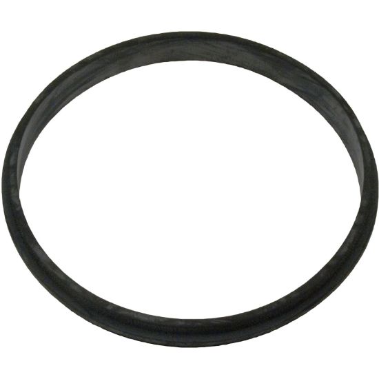 17290-0004 Baffle Ring Pentair Sta-Rite JW ABG