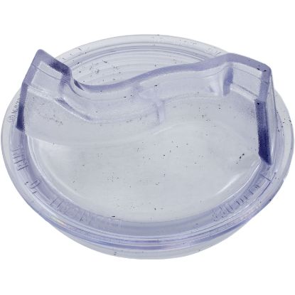 16920-0011 Trap Lid Pentair Sta-Rite DuraGlas 6" Trap