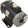 B667 Motor Letro 0.75hp 115v/230v 1Spd 56Yfr Thd LA01