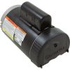B2979 Motor Century2.0hp230v2-Spd56JfrC-Face Thd