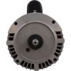 B2977 Motor Century1.5hp230v2-Spd56JfrC-Face Thd