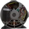 BN40 Motor Century/WW 2.0hp 115v/230v 1-Speed 48 Frame