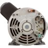 SPH30FL1 Motor US Motor 3.0 Horsepower ThruBolt 1-Speed 230v48Y