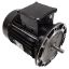 HCXP55MOTOR Motor Hayward 5.5 Horsepower 1 Speed HCP55