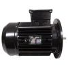 HCXP55MOTOR Motor Hayward 5.5 Horsepower 1 Speed HCP55