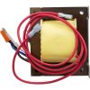 520722 Transformer Pentair IntelliChlor 115v/230v 22v/39v